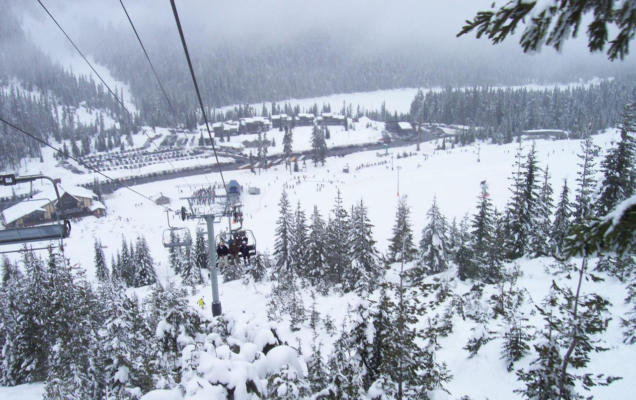 Holiday home White Pass Log Luxury Retreat *