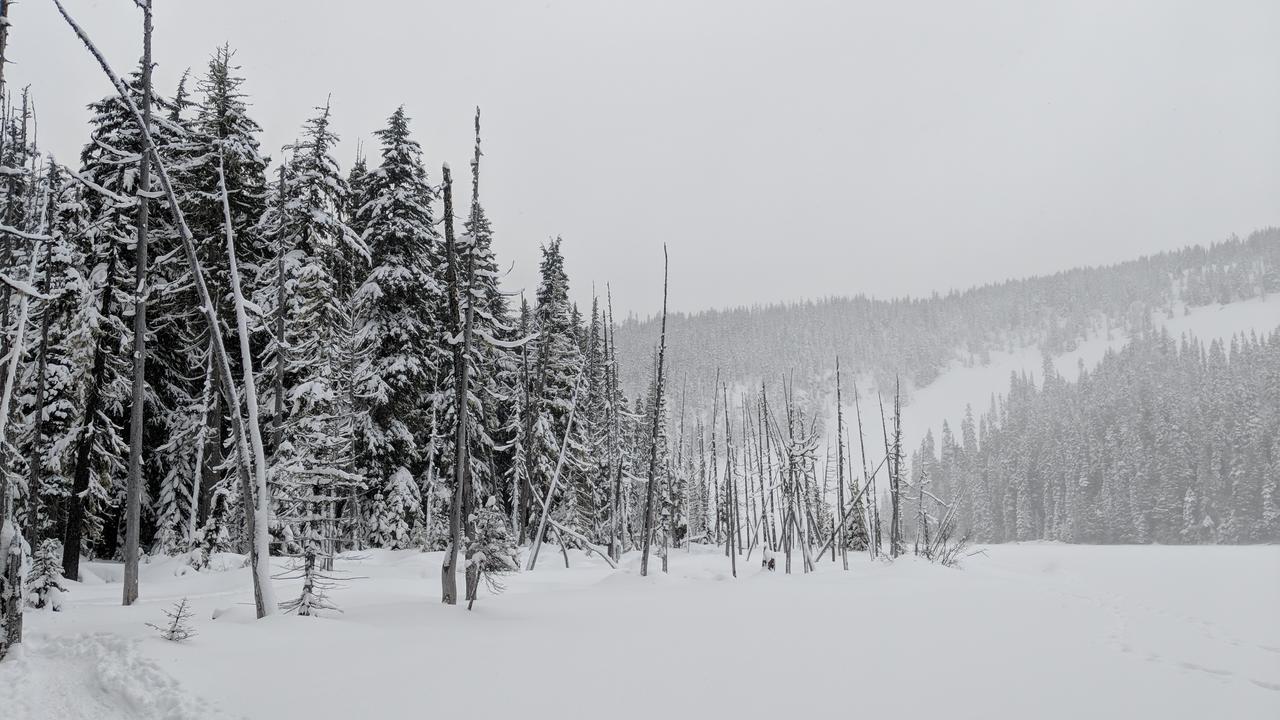 Holiday home White Pass Log Luxury Retreat