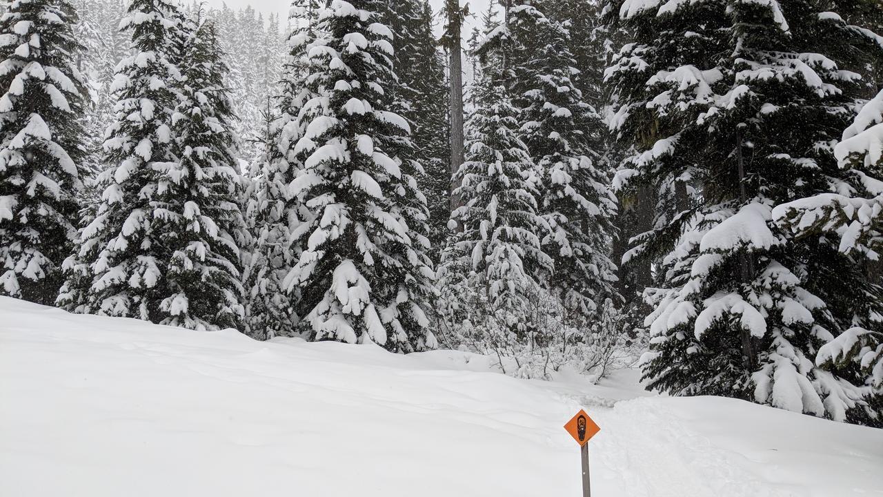 White Pass Log Luxury Retreat Holiday home Rimrock